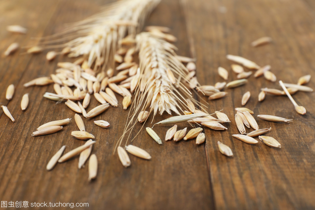 聆聽谷物之語 黑麥在桌面上的微觀敘事